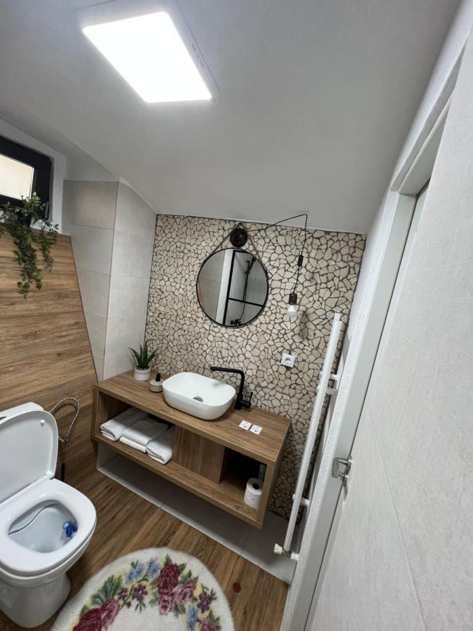 Timhouse Hotell Timişoara Exteriör bild